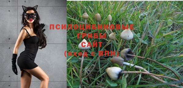 mix Алексеевка