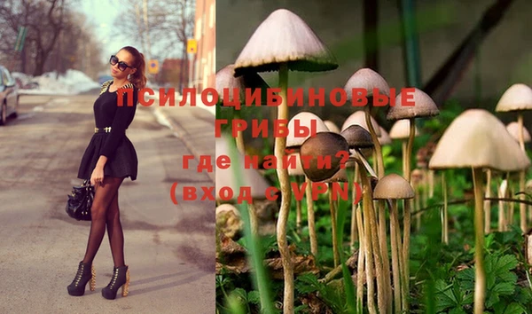 mix Алексеевка
