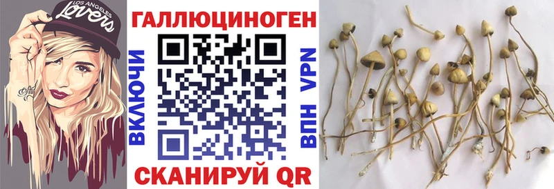 Галлюциногенные грибы MAGIC MUSHROOMS  Чёрмоз 